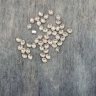 Стразы пришивные 8*6 мм "Овал" серебро